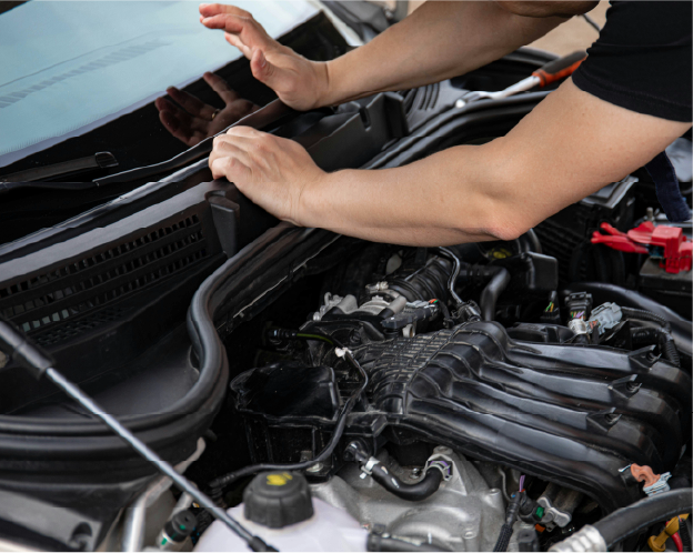 Image hover effect image